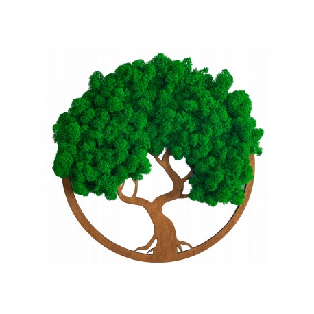 Mechový strom života, 40 cm průměr